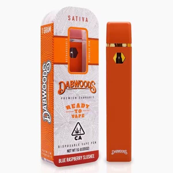 Dabwoods Disposables 1G 'Blue Raspberry Slushee' (s)