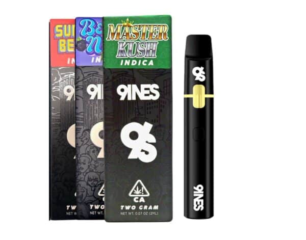 9INES 2 Gram Disposable